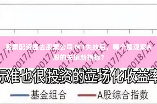 股票配资是去股票公司 M1失效后，哪个是观察A股的关键新指标？