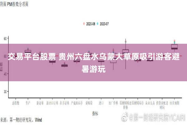 交易平台股票 贵州六盘水乌蒙大草原吸引游客避暑游玩