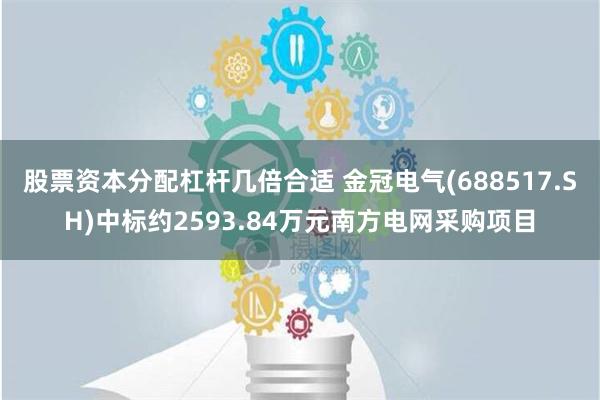 股票资本分配杠杆几倍合适 金冠电气(688517.SH)中标约2593.84万元南方电网采购项目