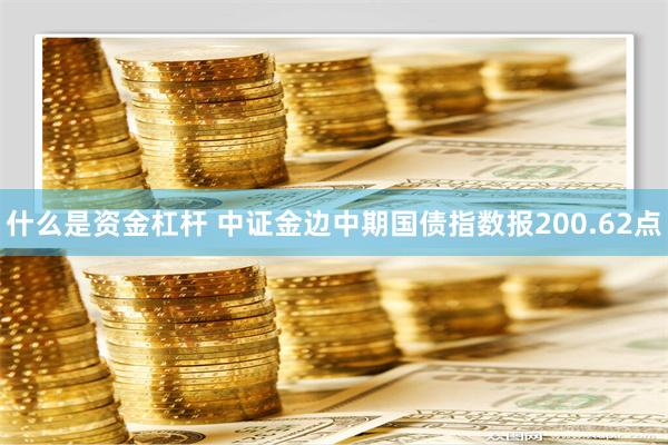 什么是资金杠杆 中证金边中期国债指数报200.62点