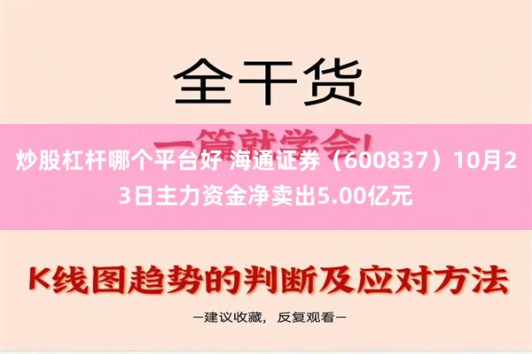 炒股杠杆哪个平台好 海通证券（600837）10月23日主力资金净卖出5.00亿元