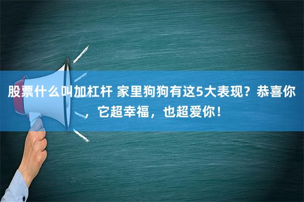 股票什么叫加杠杆 家里狗狗有这5大表现？恭喜你，它超幸福，也超爱你！